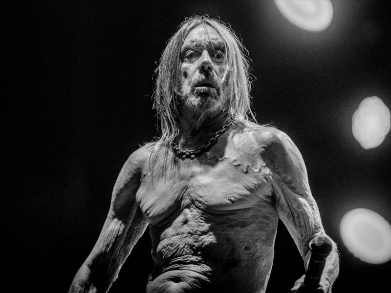 Iggy Pop & The Losers at Hollywood Palladium