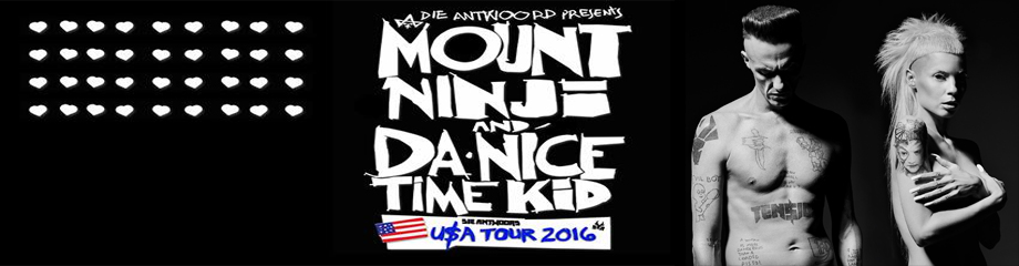 Die Antwoord