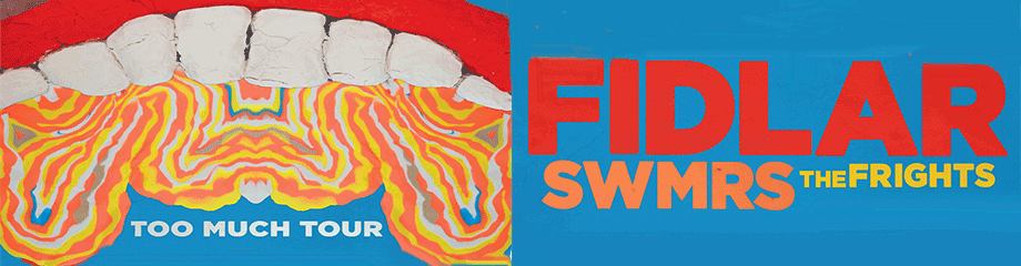 Fidlar