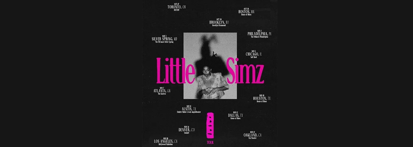Little Simz
